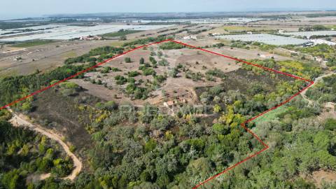 Quinta com 9,5650 ha em zambujeira do mar