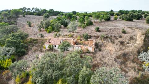 Quinta com 9,5650 ha em zambujeira do mar