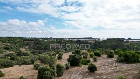Quinta com 9,5650 ha em zambujeira do mar