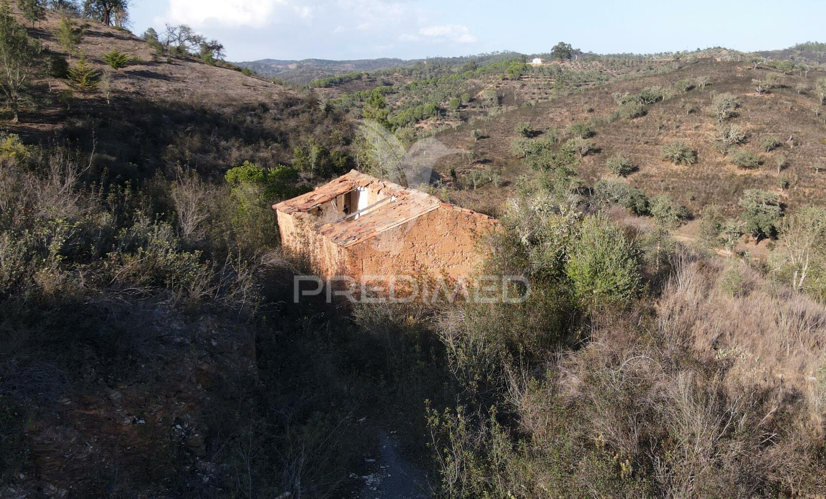 Quinta com 1,0250 ha e uma ruína em luzianes gare