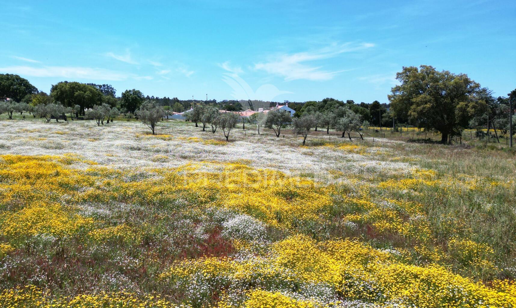 Terreno urbano com 11.750 m2 em boavista dos pinheiros