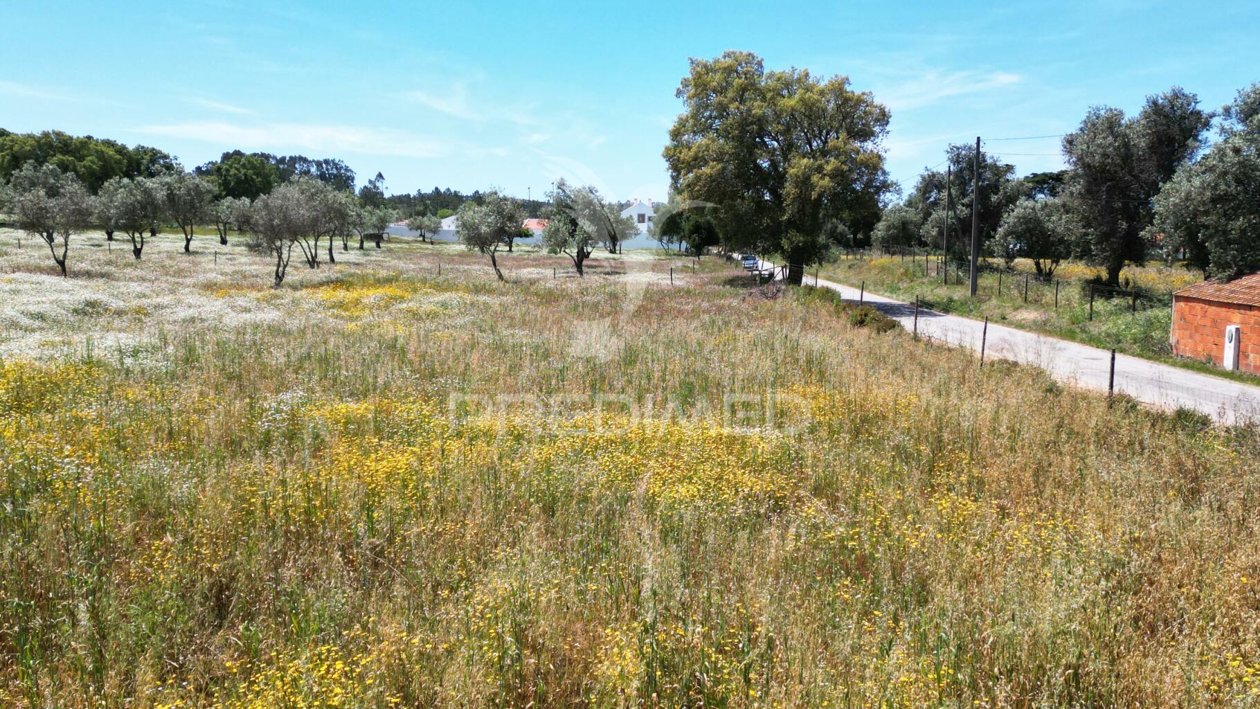 Terreno urbano com 11.750 m2 em boavista dos pinheiros