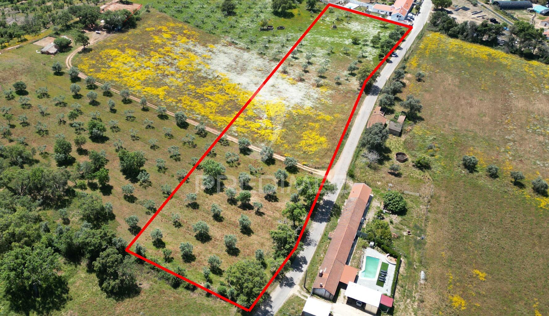 Terreno urbano com 11.750 m2 em boavista dos pinheiros