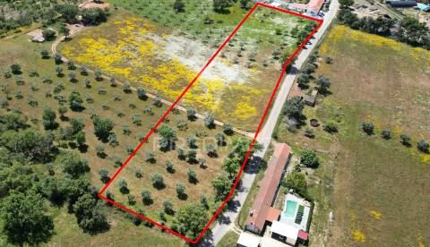 Terreno urbano com 11.750 m2 em boavista dos pinheiros