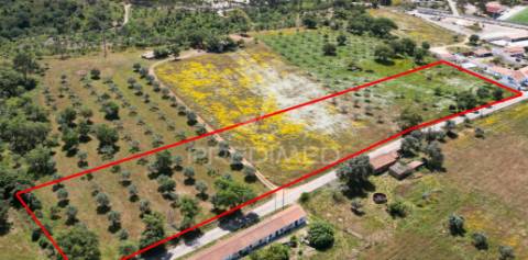 Terreno urbano com 11.750 m2 em boavista dos pinheiros
