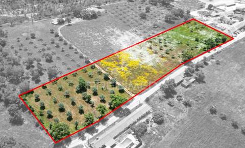 Terreno urbano com 11.750 m2 em boavista dos pinheiros