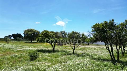 Terreno urbano com 11.750 m2 em boavista dos pinheiros