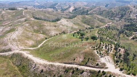 Quinta com 9,6750 ha a 25 km da praia da zambujeira