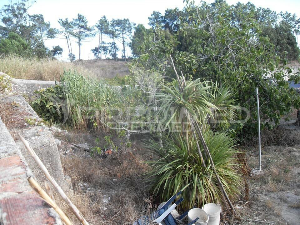 Sabugo. excelente lote de terreno para construção