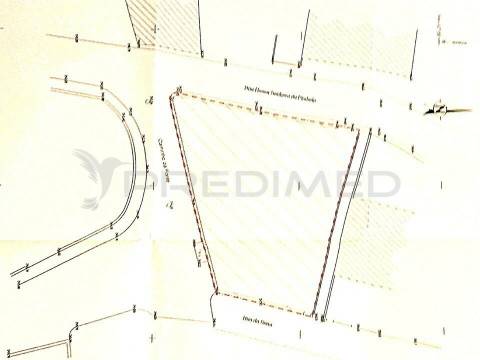 Sabugo. excelente lote de terreno para construção
