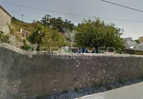 Sabugo. excelente lote de terreno para construção