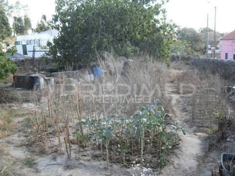 Sabugo. excelente lote de terreno para construção