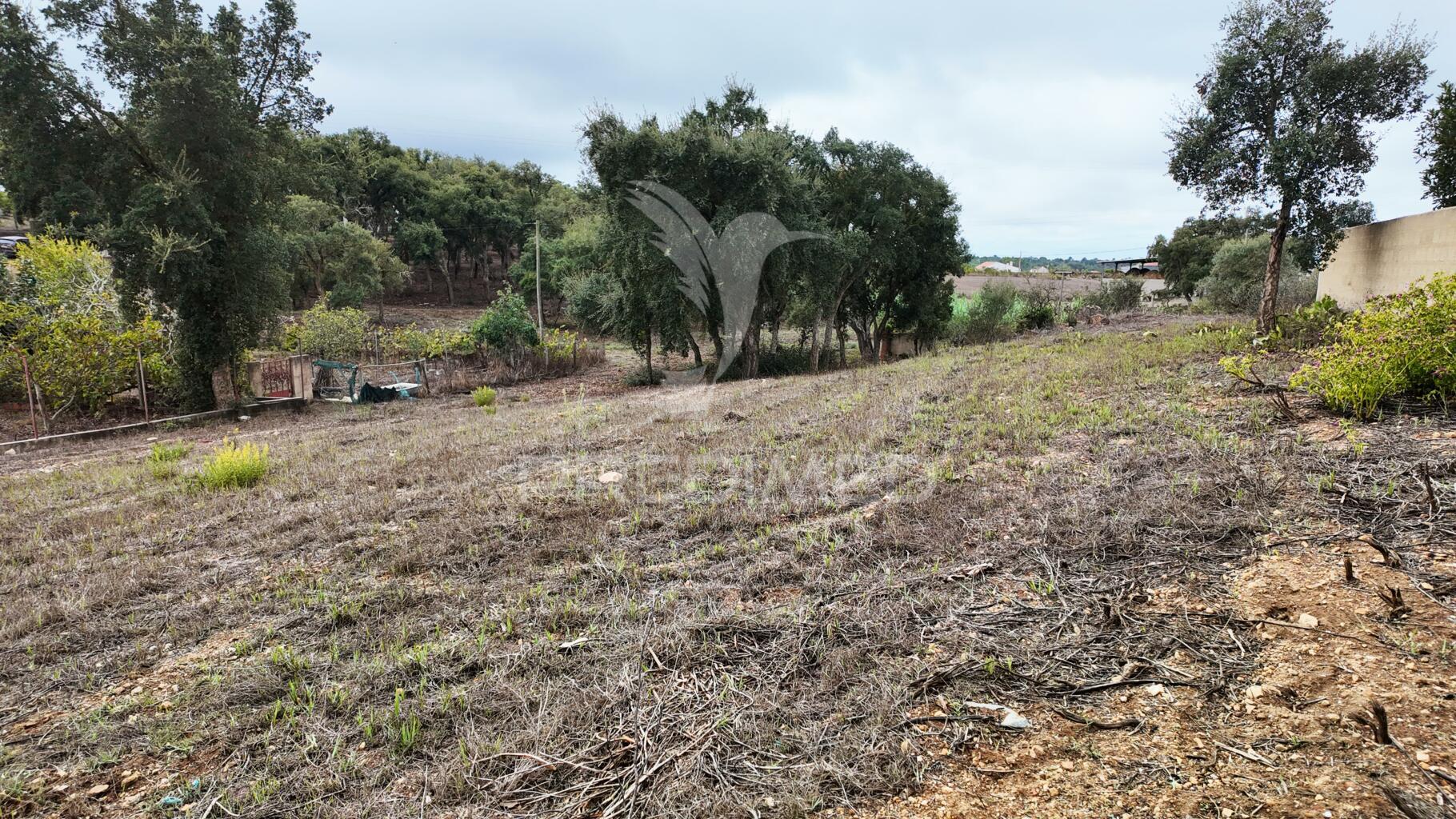 Terreno com 1500 m2 em vale bejinha, são luís