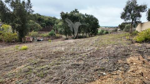 Terreno com 1500 m2 em vale bejinha, são luís