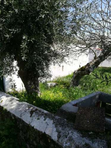 Monte meira situado na urra