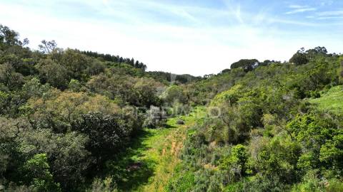 Propriedade com 20,8750 ha a 18 km da zambujeira do mar