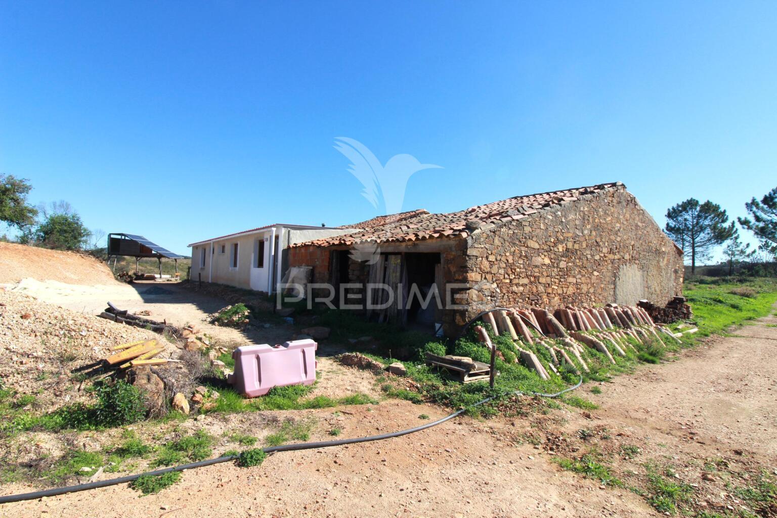 Quinta com 9,1400 ha a 21 km da praia