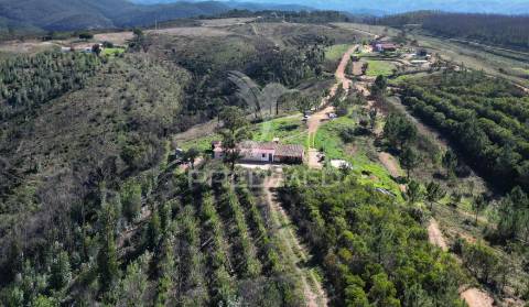 Quinta com 9,1400 ha a 21 km da praia