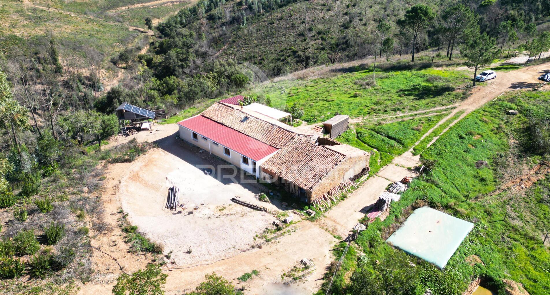 Quinta com 9,1400 ha a 21 km da praia