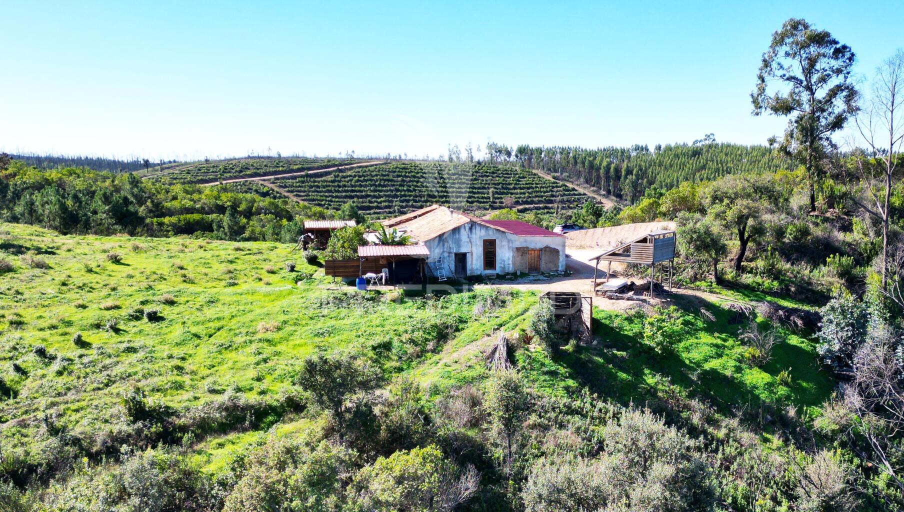 Quinta com 9,1400 ha a 21 km da praia