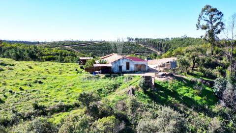 Quinta com 9,1400 ha a 21 km da praia