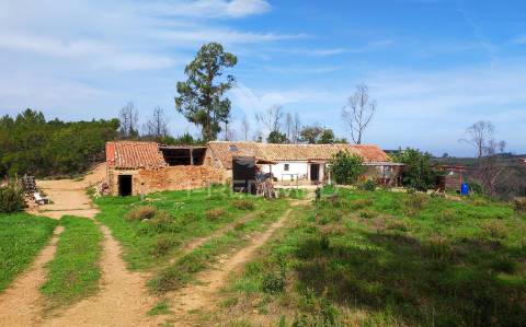 Quinta com 9,1400 ha a 21 km da praia
