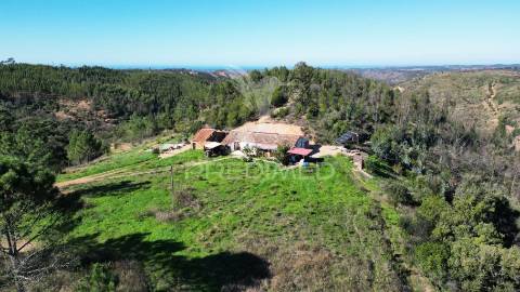 Quinta com 9,1400 ha a 21 km da praia