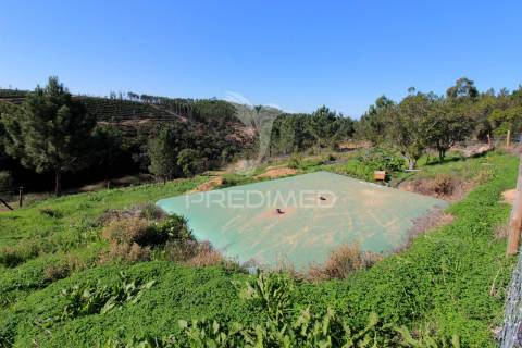 Quinta com 9,1400 ha a 21 km da praia