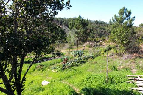 Quinta com 9,1400 ha a 21 km da praia