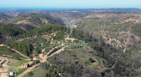 Quinta com 9,1400 ha a 21 km da praia