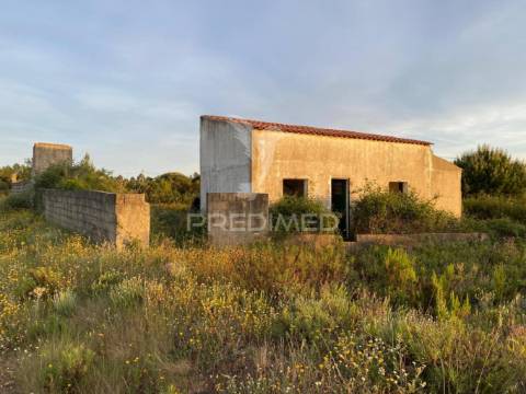 Quinta com 9,1400 ha a 21 km da praia