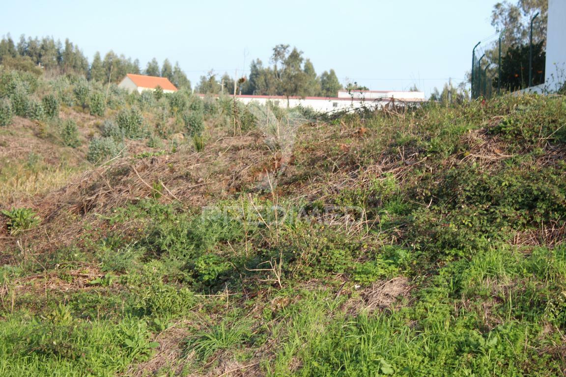 Terreno com 3.100m2 para construção de moradia 