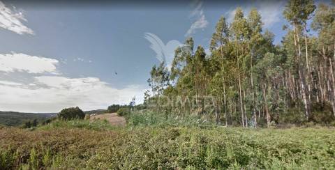 Terreno com 3.100m2 para construção de moradia 