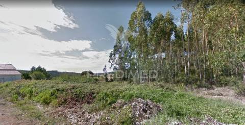 Terreno com 3.100m2 para construção de moradia 