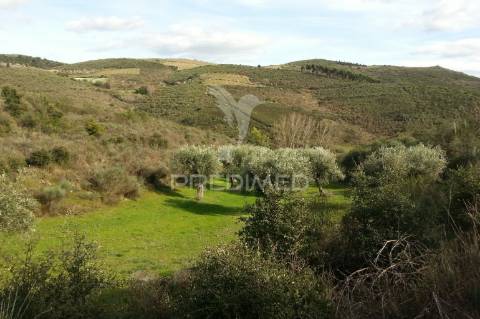 Propriedade de 9ha  c/olival em mirandela/bragança