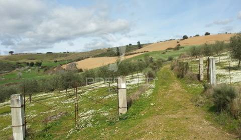 Propriedade de 9ha  c/olival em mirandela/bragança