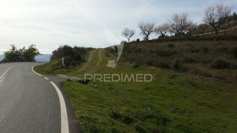 Propriedade de 9ha  c/olival em mirandela/bragança