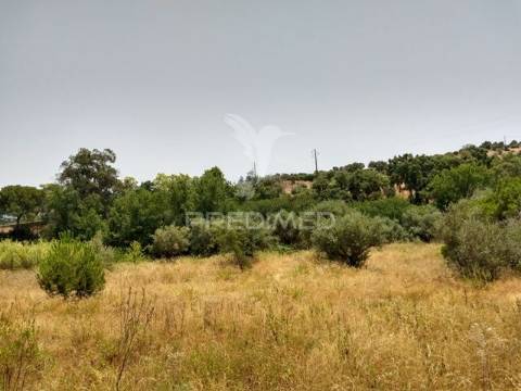 Terreno rústico com 3750m2 em montargil