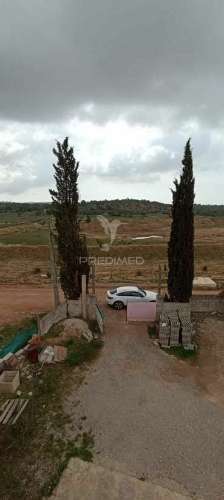 Armazém e habitação com 2500 m2 de terreno - algoz