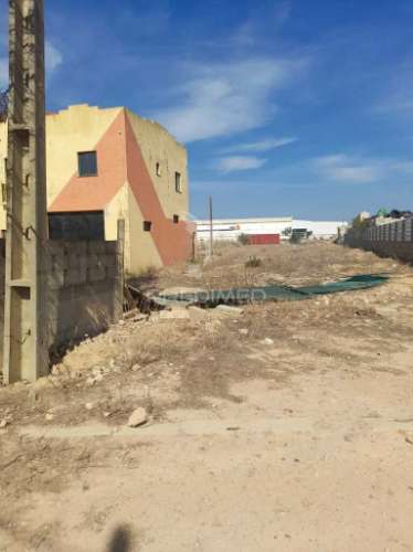 Armazém e habitação com 2500 m2 de terreno - algoz