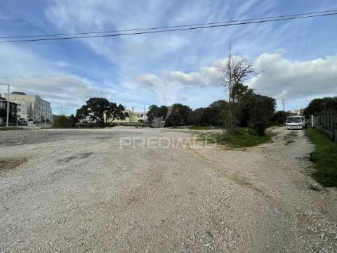 Terreno com 5266m2 em fátima