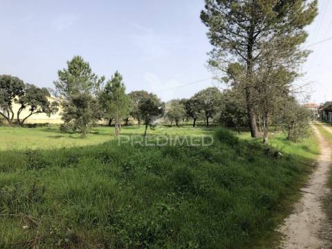 Terreno com 5266m2 em fátima