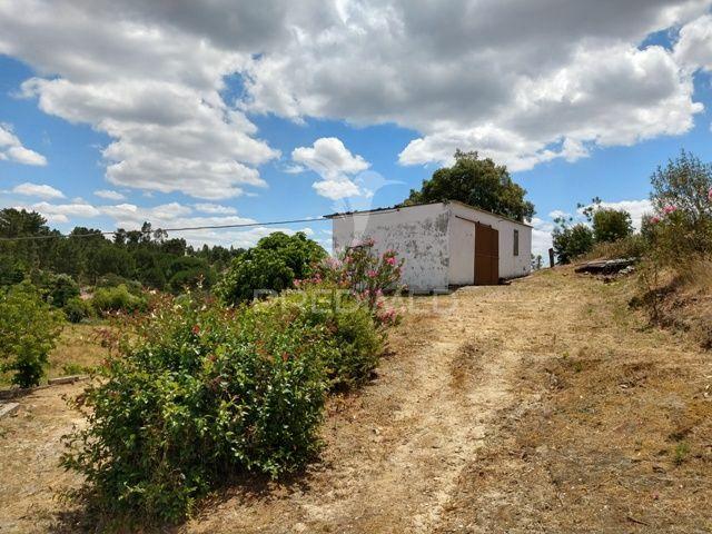 Quinta com 2 hectares montargil