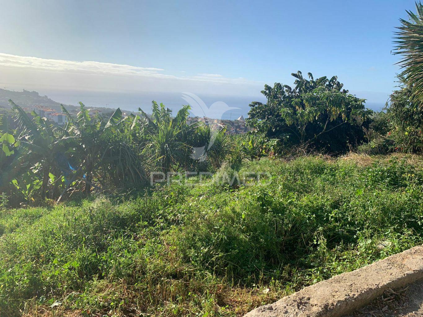 Terreno para construção em câmara de lobos