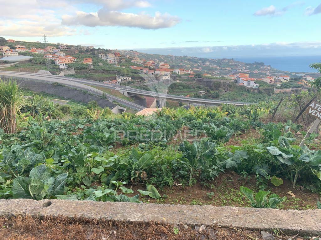 Terreno para construção em câmara de lobos