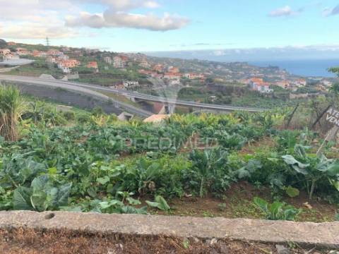 Terreno para construção em câmara de lobos