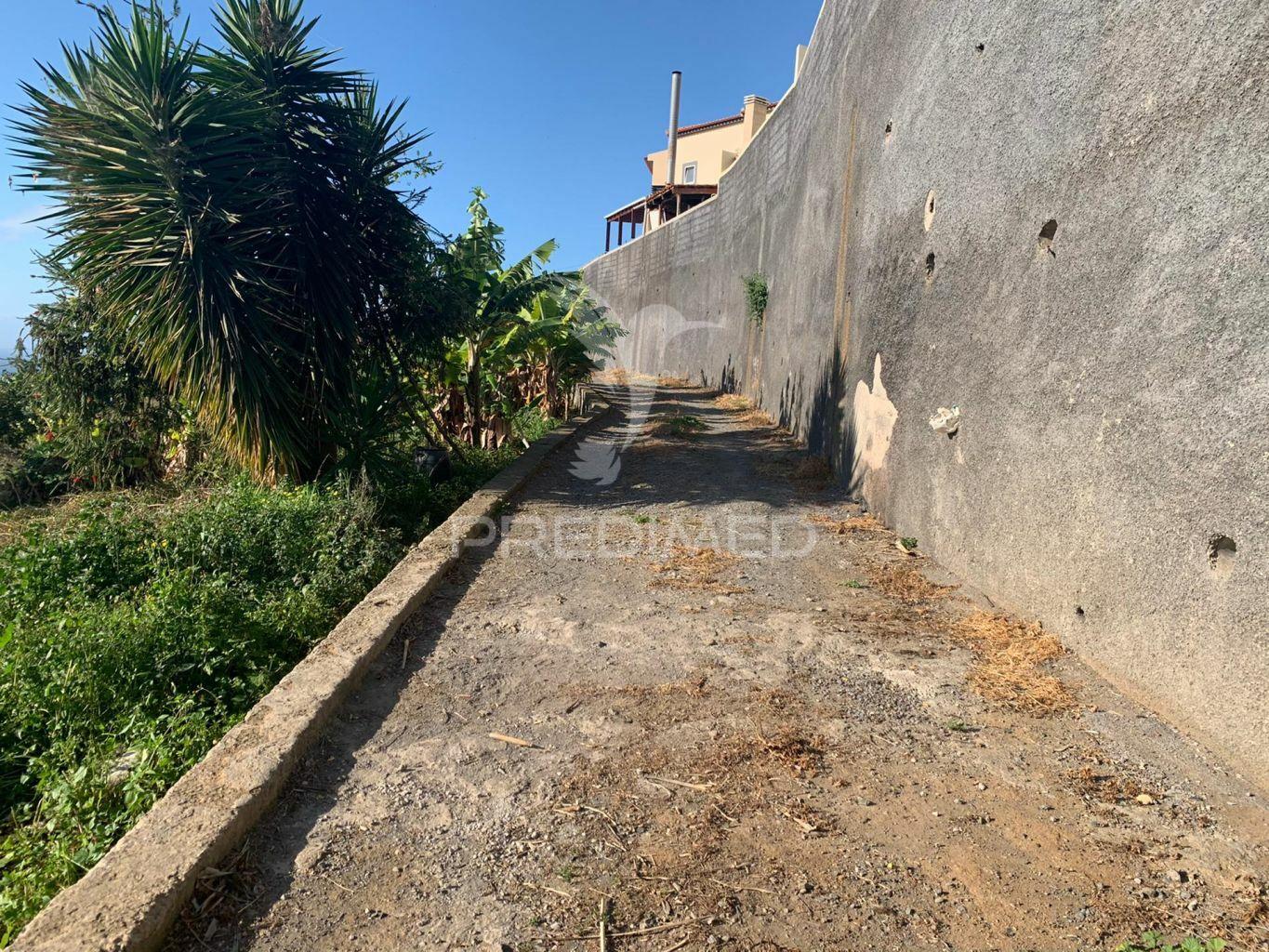 Terreno para construção em câmara de lobos