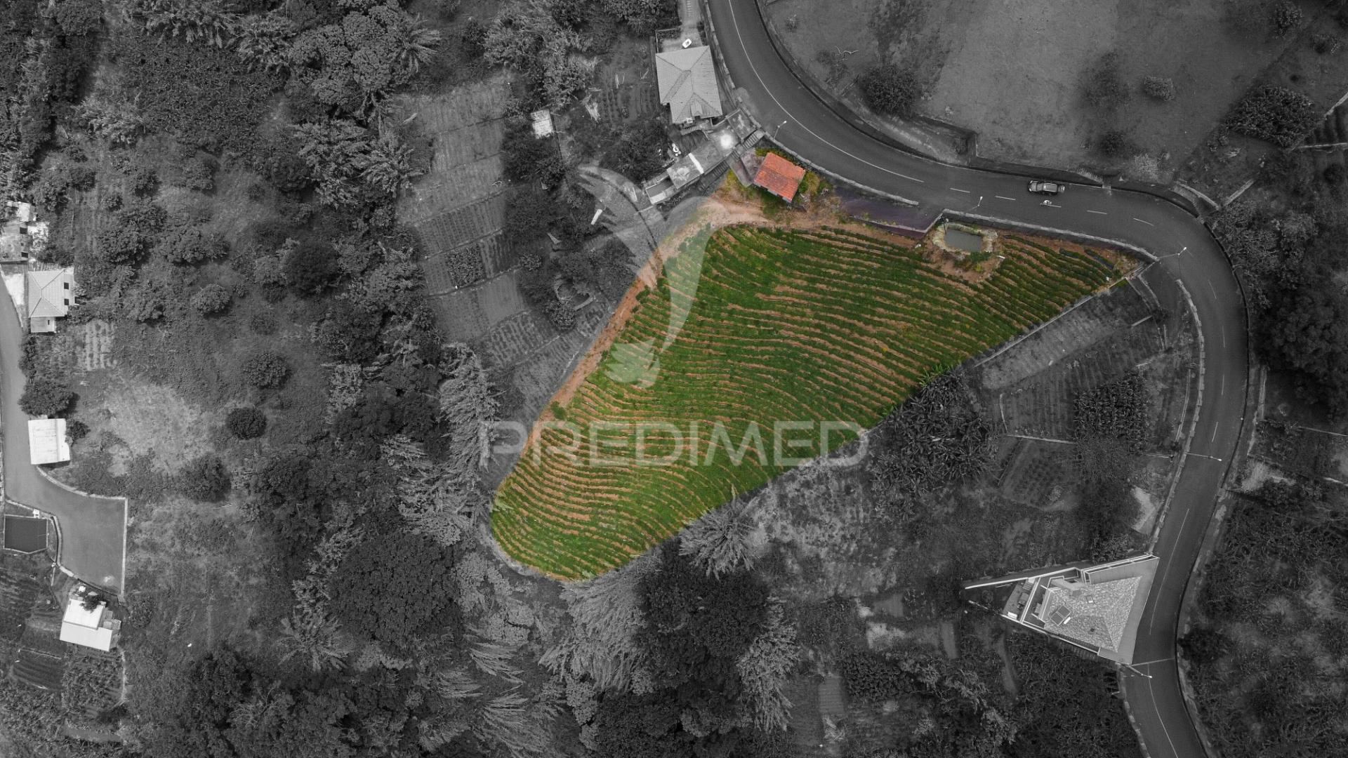 Terreno urbanizável com 3.560m2 - santana - ilha da madeira