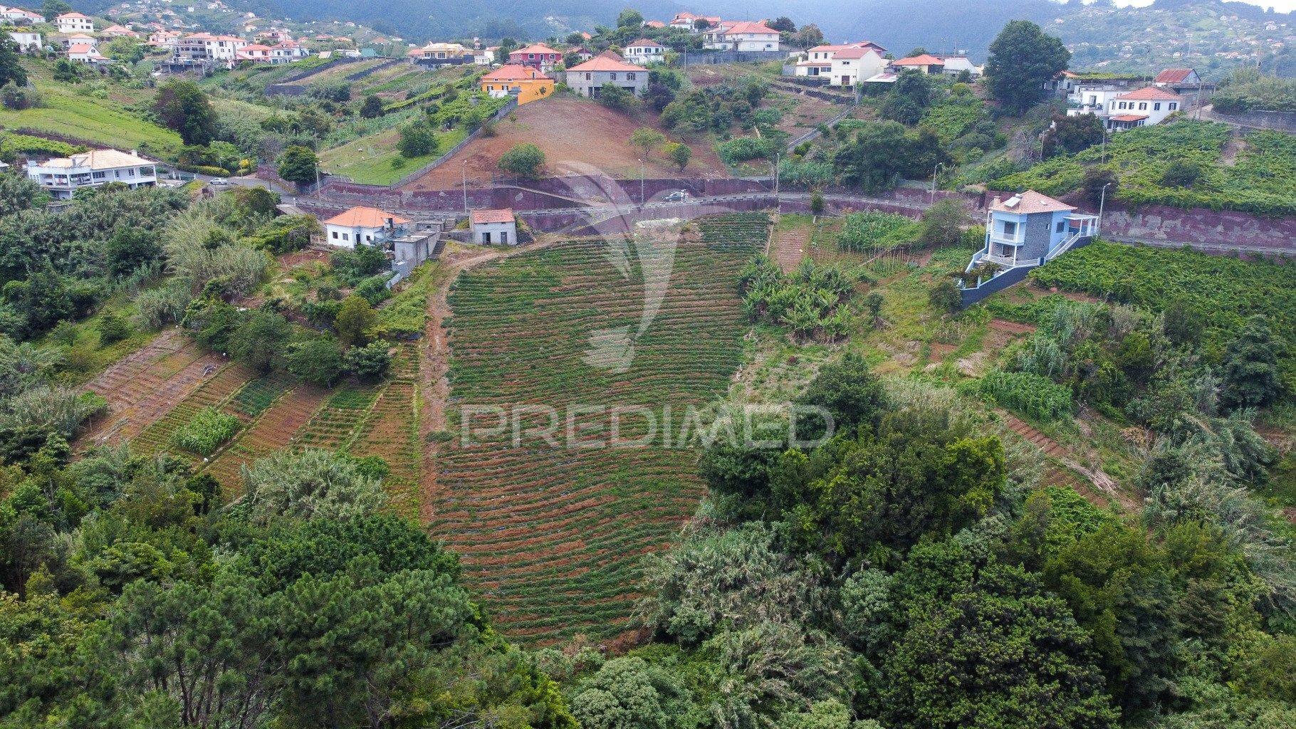 Terreno urbanizável com 3.560m2 - santana - ilha da madeira