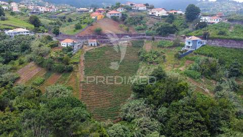 Terreno urbanizável com 3.560m2 - santana - ilha da madeira